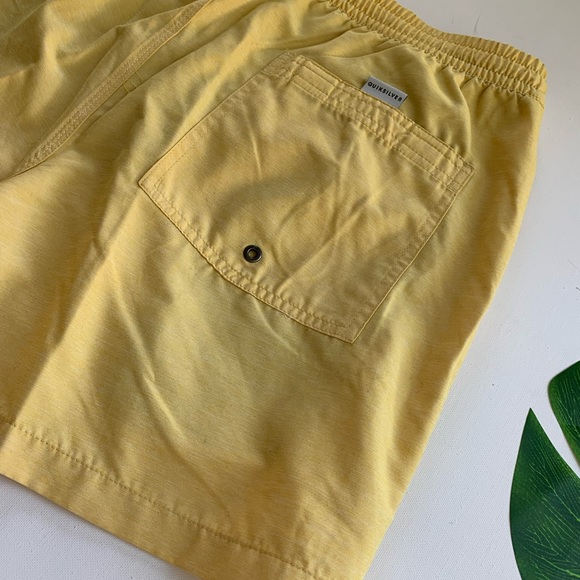 🌴QUIKSILVER Volley Shorts🌴 - Picture 4 of 4